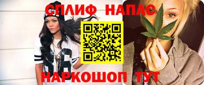 прущие грибы Малоярославец